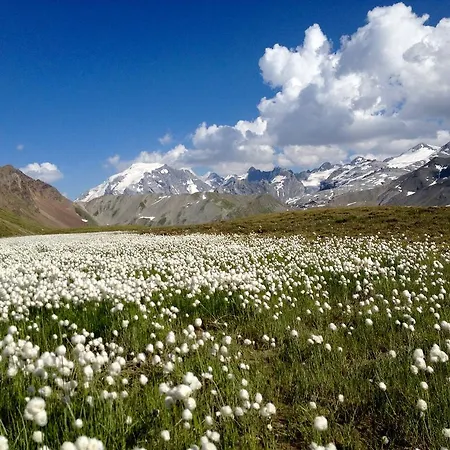 Pirovano Hotel Paso Stelvio